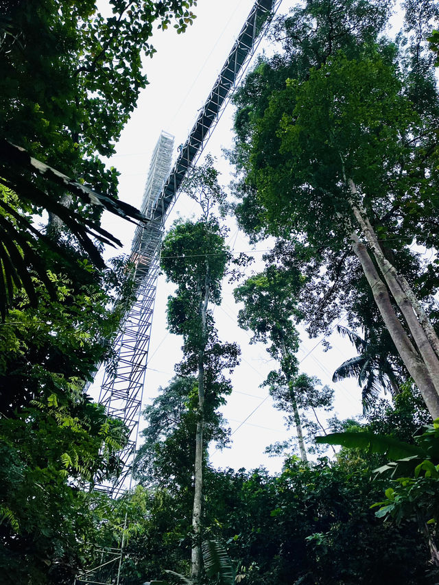 “Kepong Botanical Garden: A Green Escape with Amazing Views”