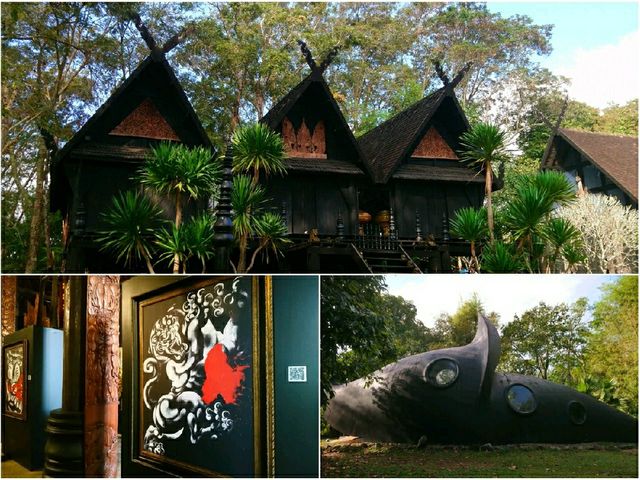 ทริป 1 วัน เชียงราย-ท่าตอน
