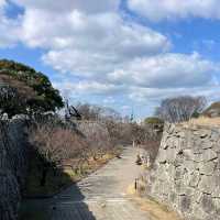 Fukuoka Castle Ruins