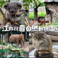 江戶川區自然動物園：在動物世界裡玩得不亦樂乎！ 🐘🐨🐅