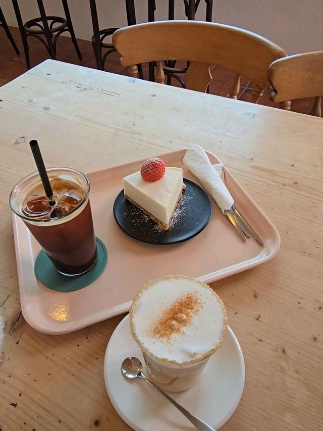 치즈케익이 맛있는 강릉 유럽감성카페🍰