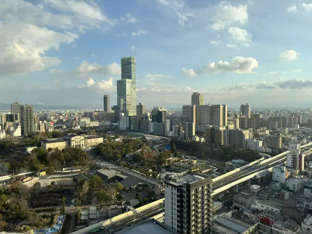 A Day Trip to Ebisucho: Osaka's Hidden Treasure 