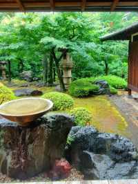 Kyu Asakura House: Step into Old Tokyo