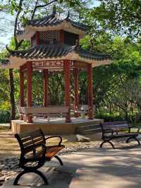 深圳世外桃源✨ 蓮花山公園🌸