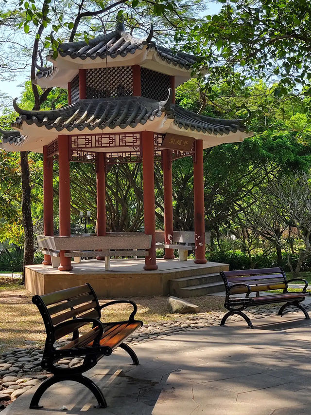 深圳世外桃源✨ 蓮花山公園🌸