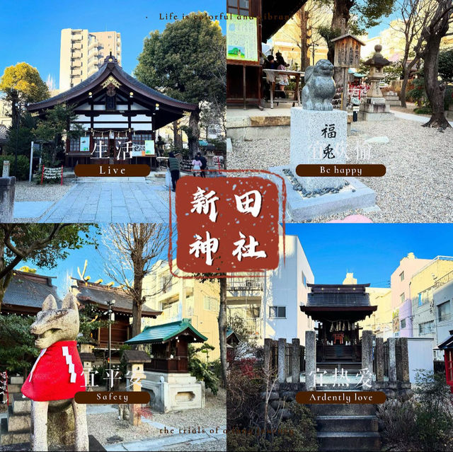 新田神社 🌿城市中的一片寧靜