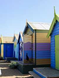 色彩斑斕的夢幻之地：Brighton Bathing Boxes 🌈🏖️