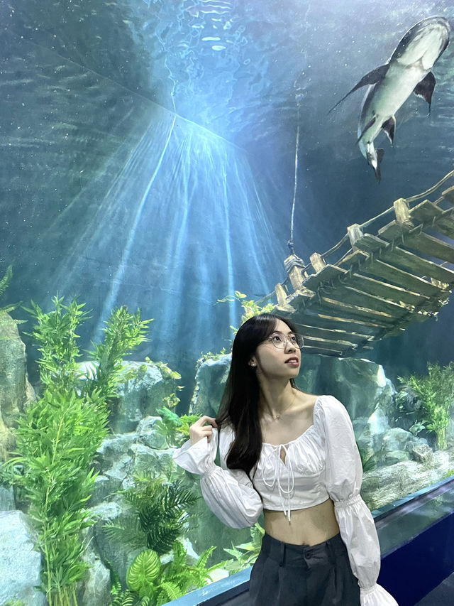 Underwater Adventure Lotte Aquarium