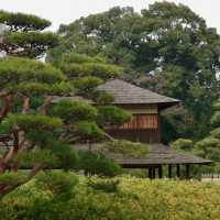 ～舞鶴公園～沉淀在時光中的靜謐～