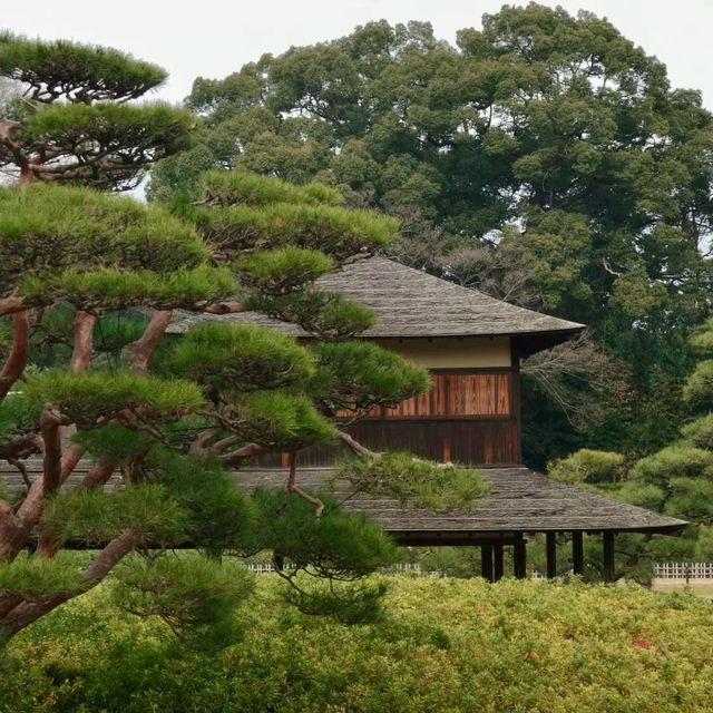 ～舞鶴公園～沉淀在時光中的靜謐～