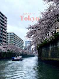 【東京】目黒川の桜を船上から眺める人気クルーズ！！