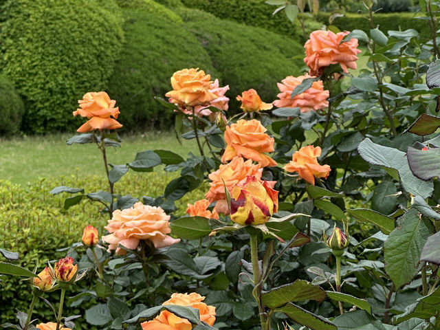 A Tranquil Escape in the Heart of Tokyo: Shinjuku Gyoen