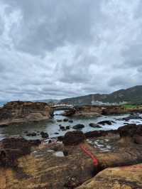 대만 타이베이 근교여행 : 예류지질공원🌊