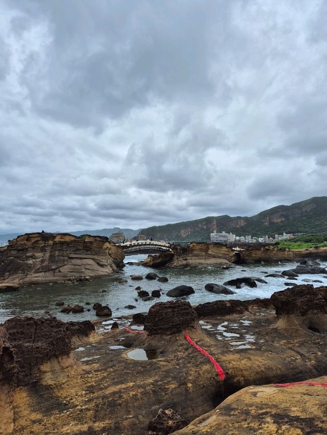 대만 타이베이 근교여행 : 예류지질공원🌊