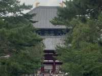 Standing in Awe: Exploring Todaiji Temple in Nara