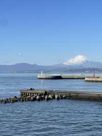 【江ノ島からみる富士山】