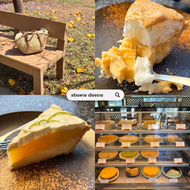 เที่ยวเชียงราย ดอยช้าง 3 วัน 2 คืน 🐑🌳🍃🍵