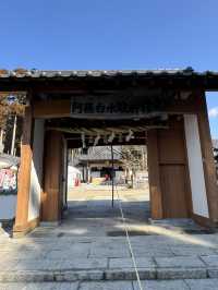 【熊本旅行】金運祈願🙏白蛇様参拝ができる神社⛩