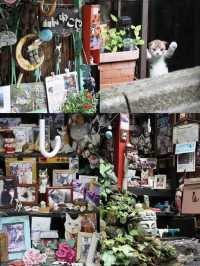 東京逛不完~🐈无意中发现的🐱城🐈