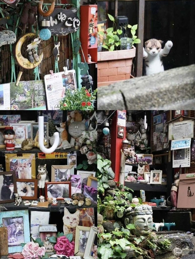 東京逛不完~🐈无意中发现的🐱城🐈