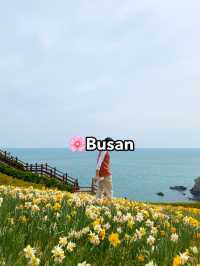 Top Spring Destinations in Korea🌸