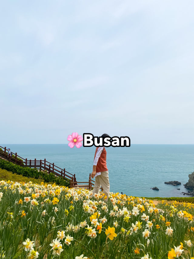 Top Spring Destinations in Korea🌸