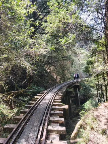 阿里山大塔山與眠月線