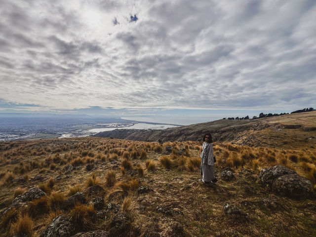 New Zealand 🇳🇿 
