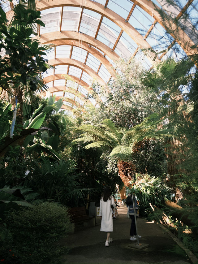 Spring Awakens at Sheffield Winter Garden 🌿🌸