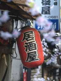 【新宿】新宿思い出横丁の四季：ノスタルジックな飲み屋街が見せる四季折々の表情🍢🌸🍁⛄