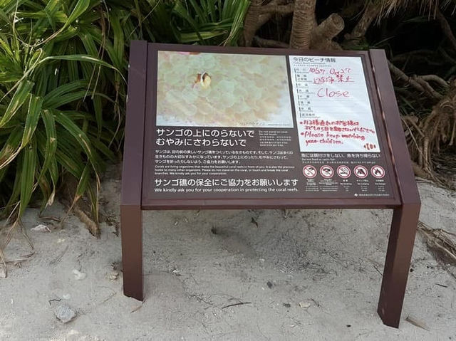 騎腳踏車環遊沖繩的阿嘉島、慶留間島及外地島 
