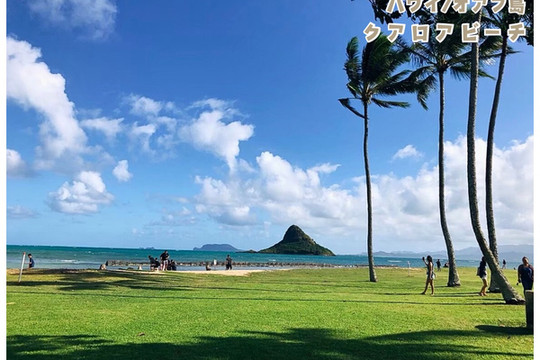 1mi47224x9017thfxFC88_R_600_40