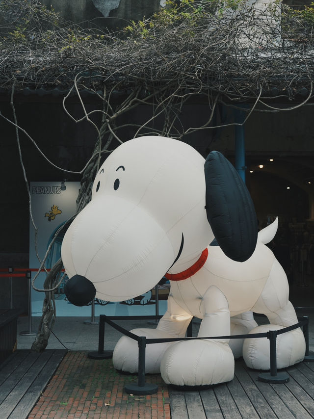 走進童年回憶！華山Snoopy 70週年特展超萌登場