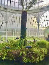 Glasgow Botanic Gardens: A Lush, Free Oasis in the City