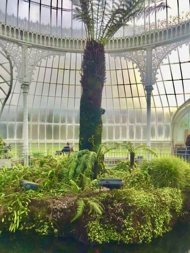 Glasgow Botanic Gardens: A Lush, Free Oasis in the City