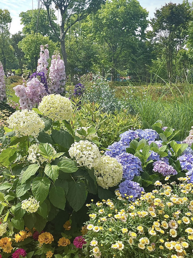 A Pretty Flower Park in Nanjing