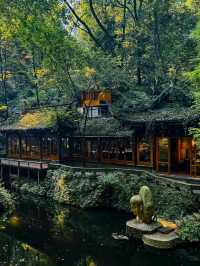 Chill by the Lake in Chengdu
