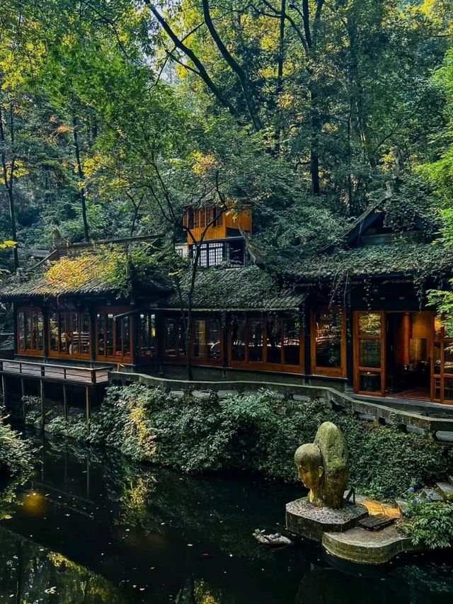 Chill by the Lake in Chengdu