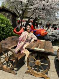 When Hanfu Meets Sakura: The Enchanting Beauty of Luoyi Ancient City