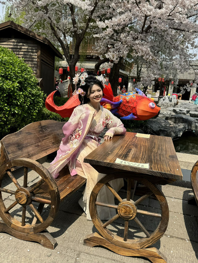 When Hanfu Meets Sakura: The Enchanting Beauty of Luoyi Ancient City