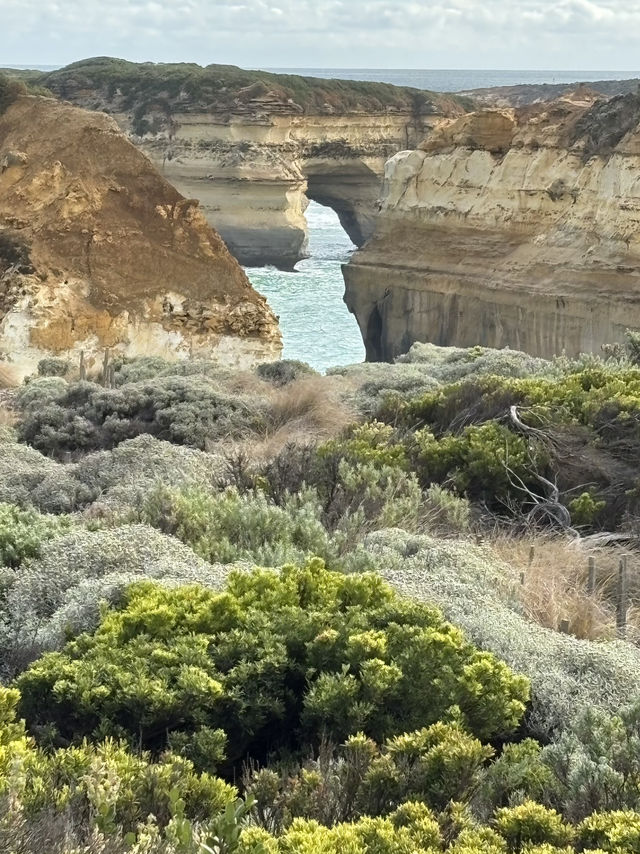 Great ocean road ✨