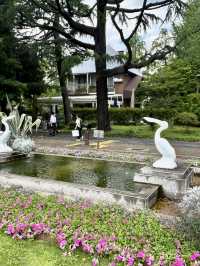Spring Stroll in Hibiya Park🌼