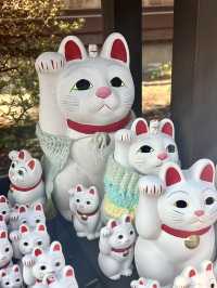 東京豪德寺 