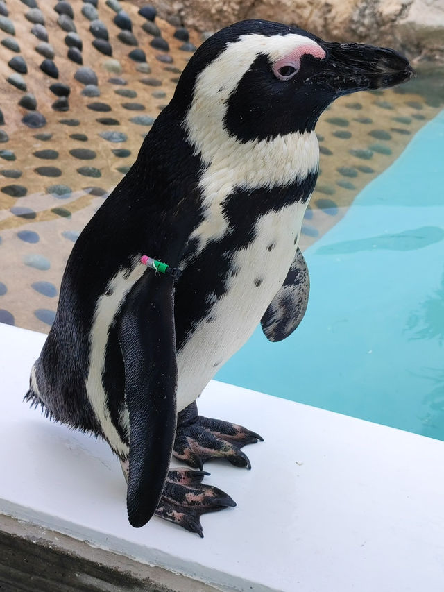 福岡｜一日遊｜海之中道水族館與博多運河城