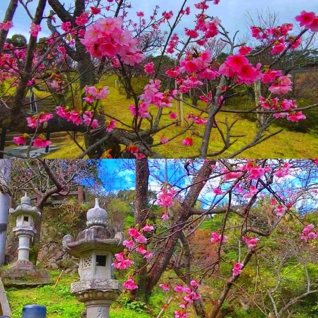 沖繩