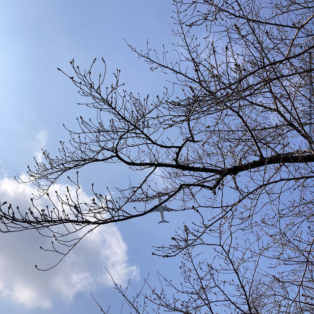 大濠公園（Ohori Park）