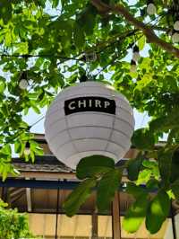 🧀 Chirp Cafe and Chat Space