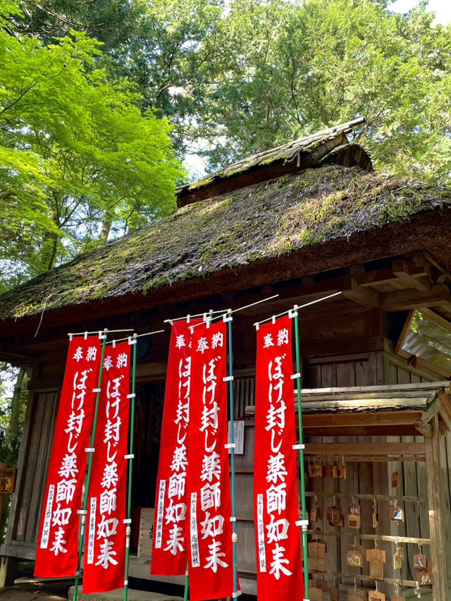 【東京×青梅】