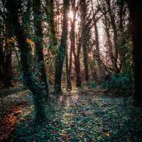 Uttlesford