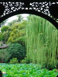 Stylish Stay in Chengdu